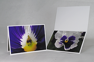 Fine art greeting card - (Glamorama White Pansy)