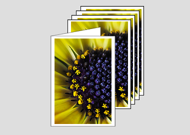 Package of 5 greeting cards - (African Daisy HBV) – 4.5″x6.25″