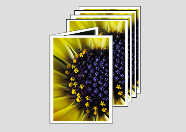 Package of 5 greeting cards - (African Daisy) – 4.5″x6.25″
