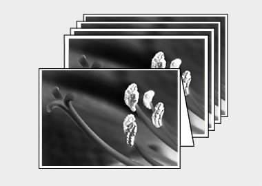 Package of 5 greeting cards - (Aphrodite in B&W HBV) – 4.5″x6.25″