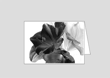 Fine art greeting card - (Aphrodite in B&W HV) – 4.5" x 6.25″