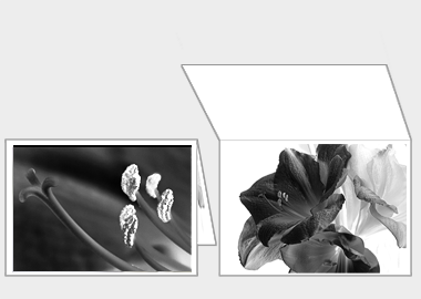 Fine art greeting card - (Aphrodite in B&W) – 4.5″x6.25″