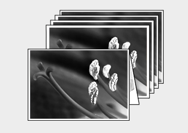Package of 5 greeting cards - (Aphrodite in B&W) – 4.5″x6.25″