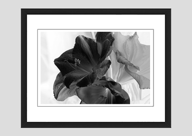 framed print - (Aphrodite in B&W HV) - 8"x10"