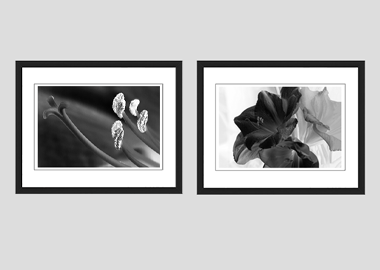 Both framed prints - (Aphrodite in B&W) - 8"x10" each