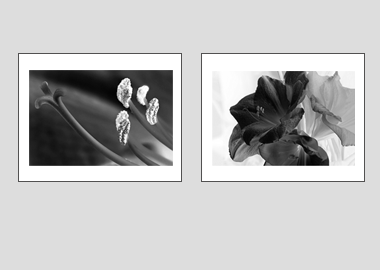 Both matted prints - (Aphrodite in B&W) - 11"x14" each