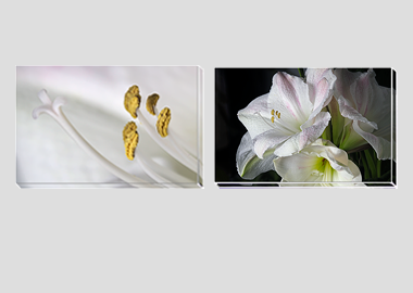 Both canvas prints - (Aphrodite) - 8"x12" each