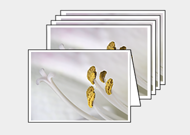 Package of 5 greeting cards - (Aphrodite HBV) – 4.5″x6.25″