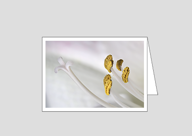 Fine art greeting card - (Aphrodite HBV) – 4.5″x6.25″