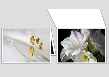 Fine art greeting card - (Aphrodite) – 4.5″x6.25″