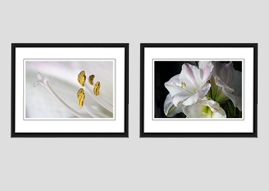 Both framed prints - (Aphrodite) - 8"x10" each
