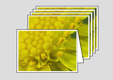 Package of 5 greeting cards - (Blue Jelly Bean HBV) – 4.5″x6.25″