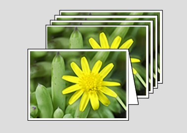 Package of 5 greeting cards - (Blue Jelly Bean HV) – 4.5″x6.25″