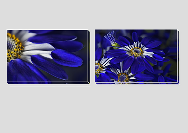 Both canvas prints - (Blue Spoon) - 8"x12" each