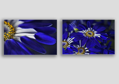 Both canvas prints - (Blue Spoon) - 12"x18" each