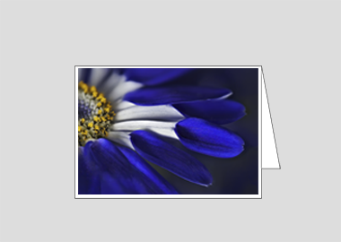 Fine art greeting card - (Blue Spoon HBV) – 4.5″x6.25″