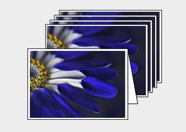 Package of 5 greeting cards - (Blue Spoon HBV) – 4.5″x6.25″