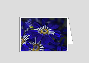 Fine art greeting card - (Blue Spoon HV) – 4.5″x6.25″