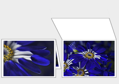 Fine art greeting card - (Blue Spoon) – 4.5″x6.25″