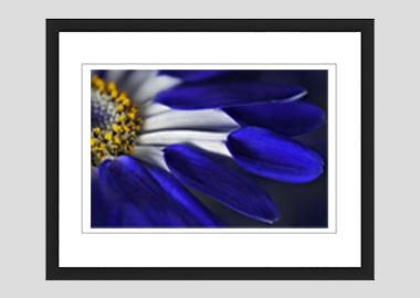 framed print - (Blue Spoon HBV) - 8"x10"