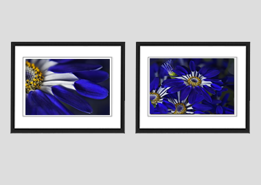 Both framed prints - (Blue Spoon) - 8"x10" each