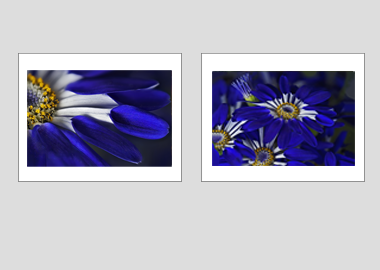 Both matted prints - (Blue Spoon) - 11"x14" each
