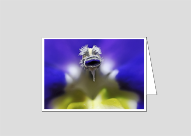 Fine art greeting card - (Bottle Rocket Blue HBV) – 4.5″x6.25″