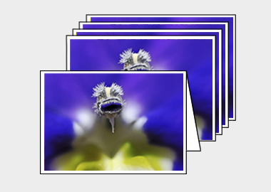 Package of 5 greeting cards - (Bottle Rocket Blue HBV) – 4.5″x6.25″
