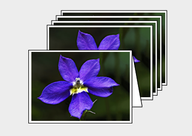 Package of 5 greeting cards - (Bottle Rocket Blue HV) – 4.5″x6.25″
