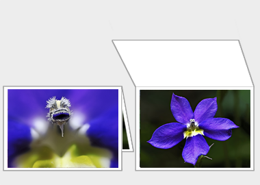 Fine art greeting card - (Bottle Rocket Blue) – 4.5″x6.25″