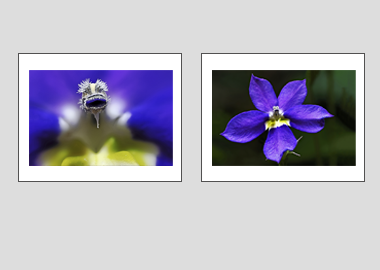 Both matted prints - (Bottle Rocket Blue) - 11"x14" each