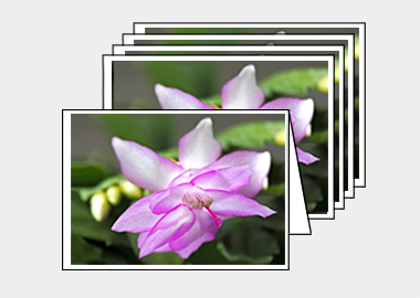 Package of 5 greeting cards - (Christmas Cactus 2 HV) – 4.5″x6.25″