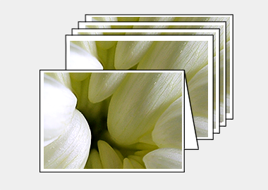 Package of 5 greeting cards - (Chrysanthemum HBV) – 4.5″x6.25″
