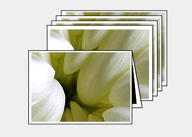 Package of 5 greeting cards - (Chrysanthemum) – 4.5″x6.25″