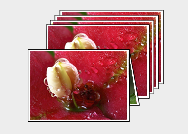 Package of 5 greeting cards - (Crown of Thorns) – 4.5″x6.25″