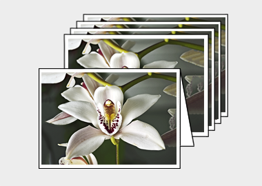 Package of 5 greeting cards - (Cymbidium Alexanderi HV) – 4.5″x6.25″