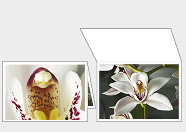 Fine art greeting card - (Cymbidium Alexanderi) – 4.5″x6.25″