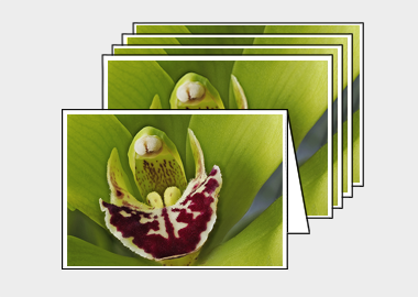 Package of 5 greeting cards - (Cymbidian Green Thumb HBV) – 4.5″x6.25″