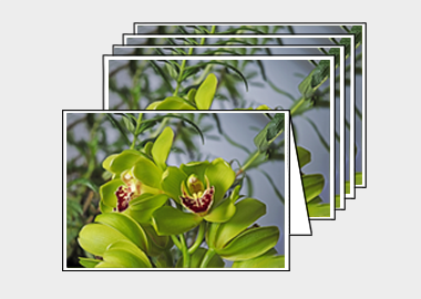 Package of 5 greeting cards - (Cymbidian Green Thumb HV) – 4.5″x6.25″