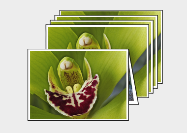Package of 5 greeting cards - (Cymbidian Green Thumb) – 4.5″x6.25″