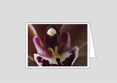 Fine art greeting card - (Cymbidium Street Hawk HBV) – 4.5″x6.25″