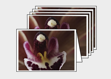 Package of 5 greeting cards - (Cymbidium Street Hawk HBV) – 4.5″x6.25″