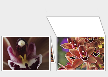 Fine art greeting card - (Cymbidium Street Hawk) – 4.5″x6.25″