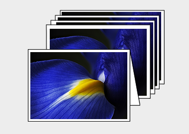 Package of 5 greeting cards - (Dutch Iris HBV) – 4.5″x6.25″