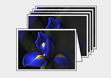 Package of 5 greeting cards - (Dutch Iris HV) – 4.5″x6.25″