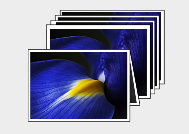 Package of 5 greeting cards - (Dutch Iris) – 4.5″x6.25″