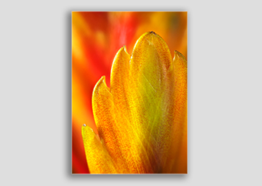 canvas print - (Flaming Sword HBV) - 12"x18"