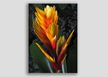 canvas print - (Flaming Sword HV) - 12"x18"