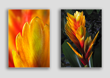 Both canvas prints - (Flaming Sword) - 12"x18" each
