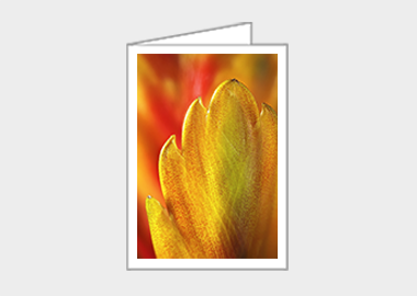 Fine art greeting card - (Flaming Sword HBV) – 6.25″ x 4.5″